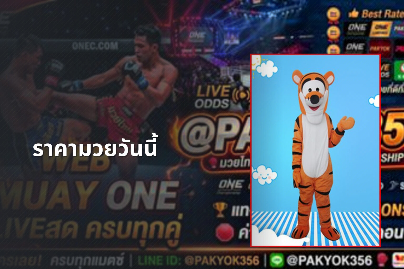 ราคามวยวันนี้ - boxing odds