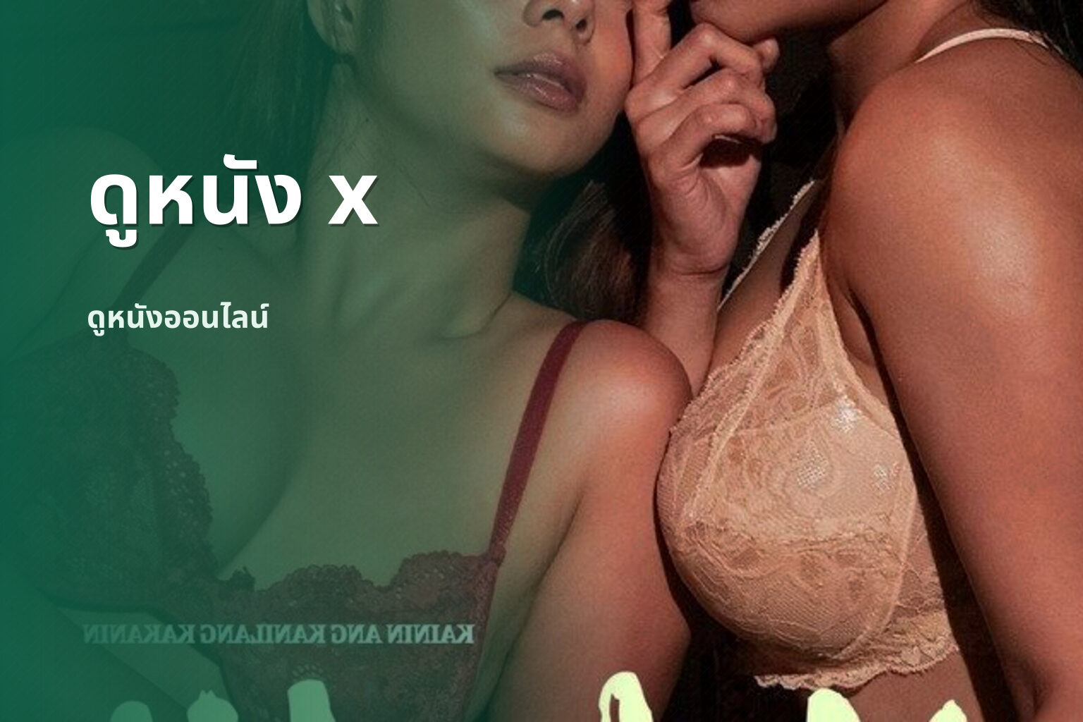 ดูหนัง x - adult movies