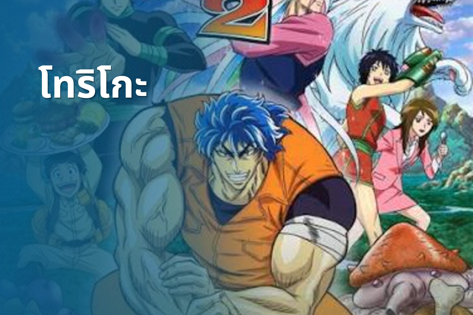 โทริโกะ - anime series