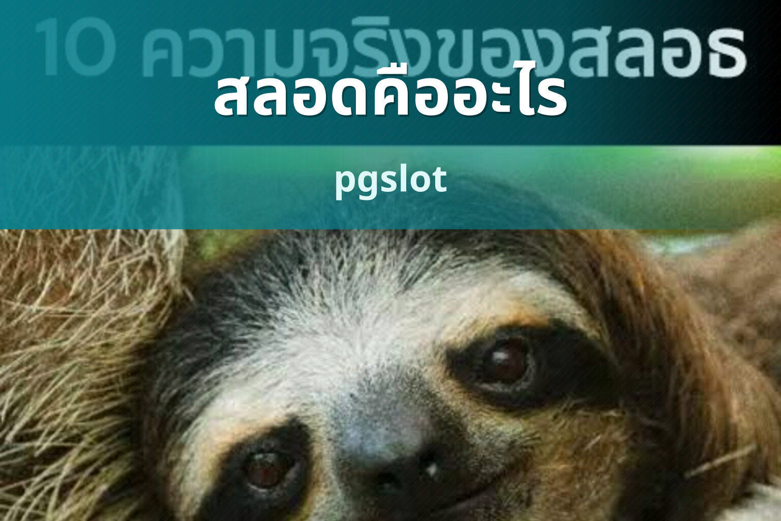 สลอดคืออะไร - slot game explanation