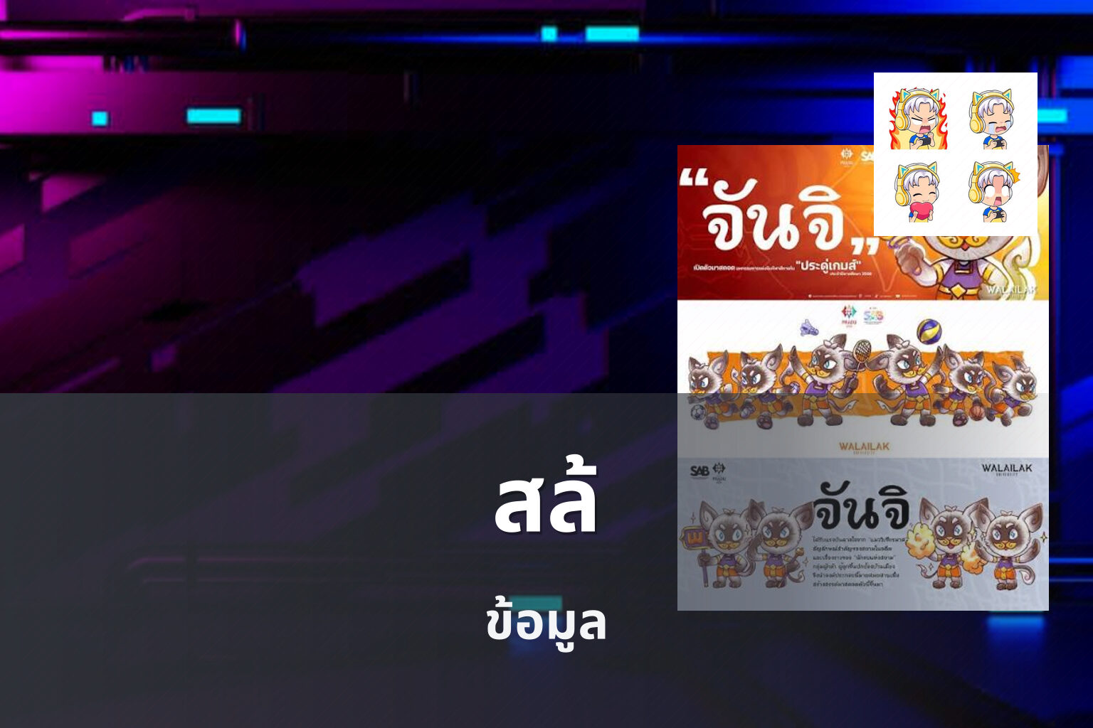 สล้ ข้อมูล