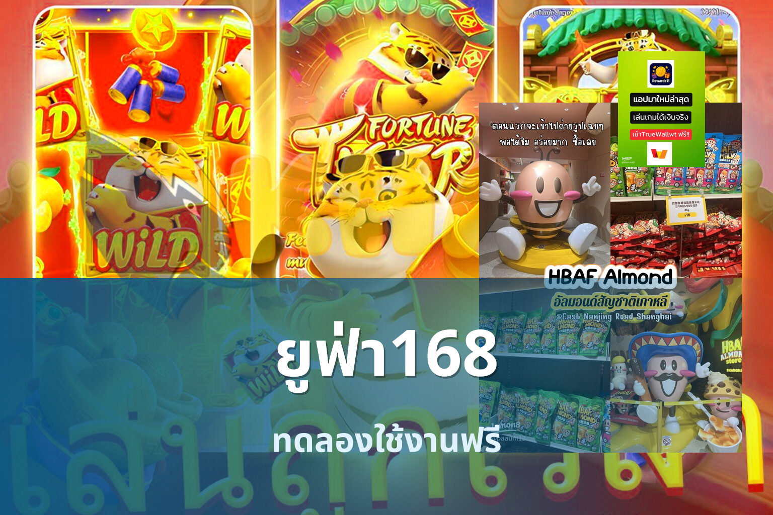 ยูฟ่า168 ทดลองใช้งานฟรี