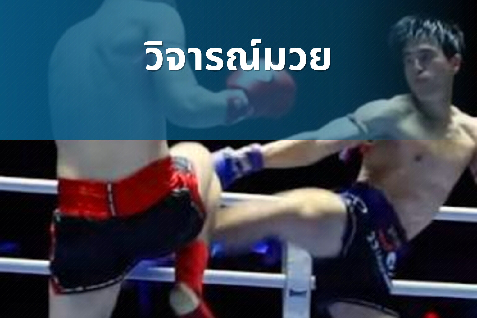 วิจารณ์มวย - boxing reviews