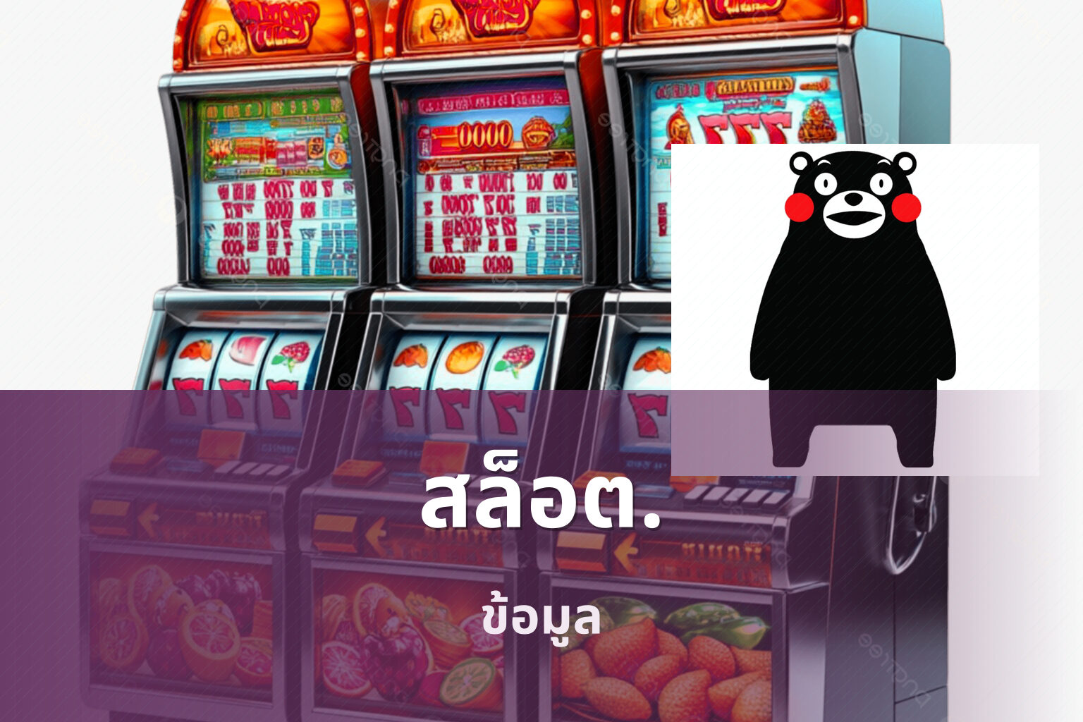 สล็อต. ข้อมูล
