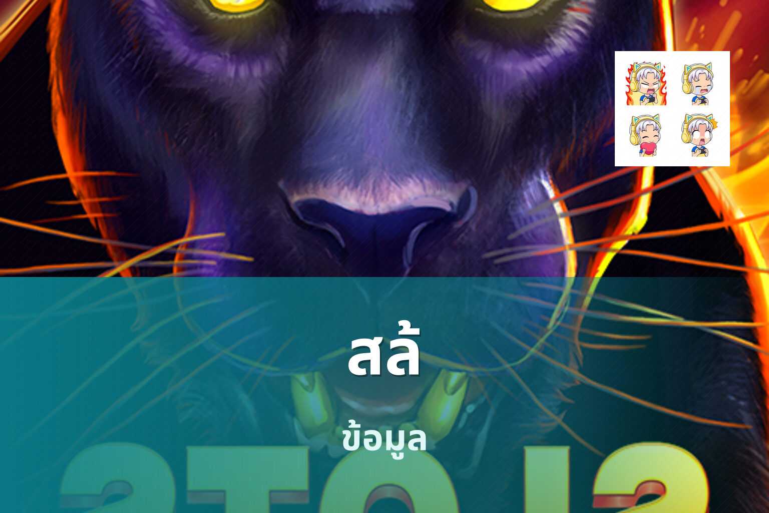 สล้ ข้อมูล