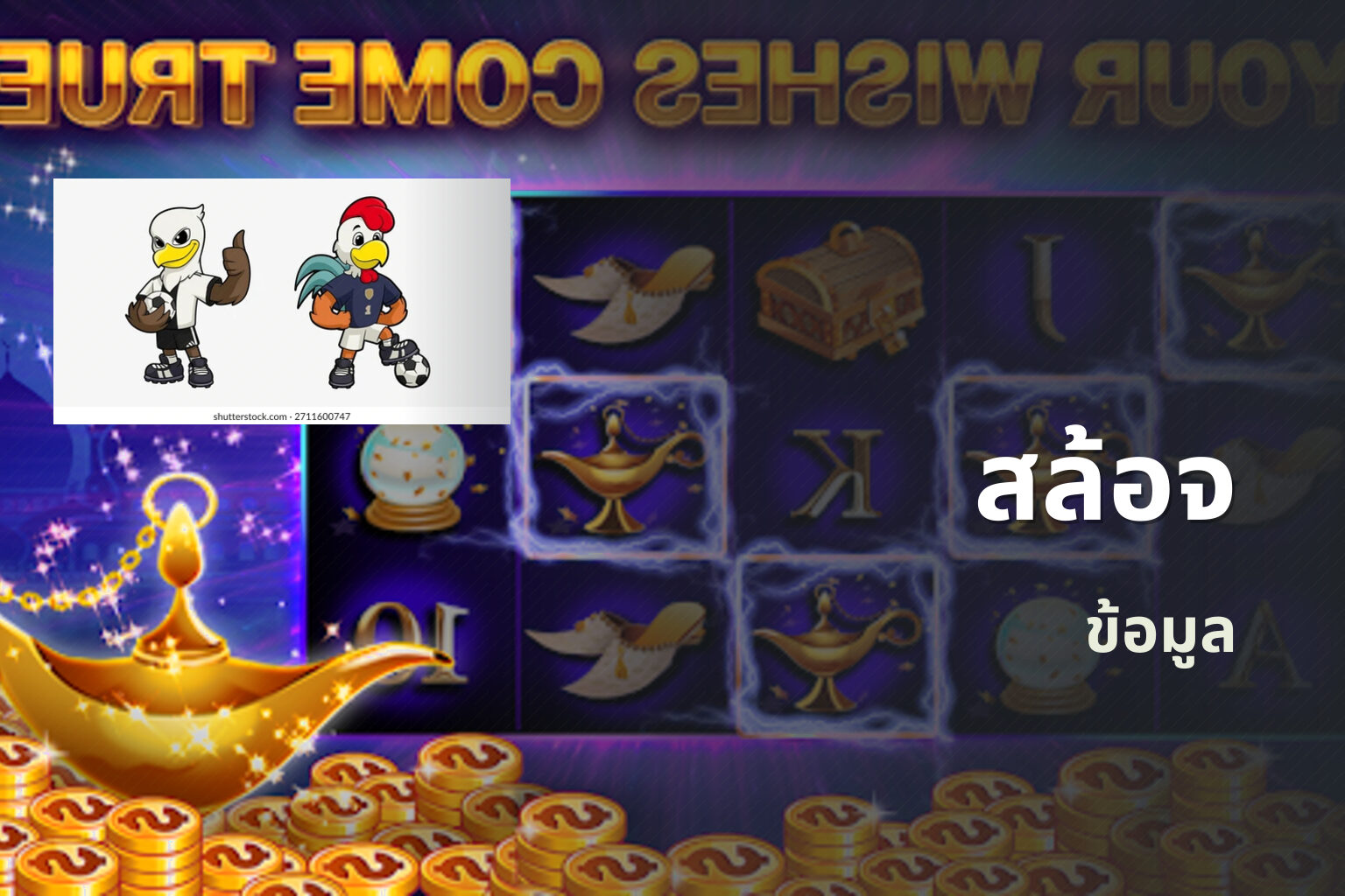 สล้อจ ข้อมูล