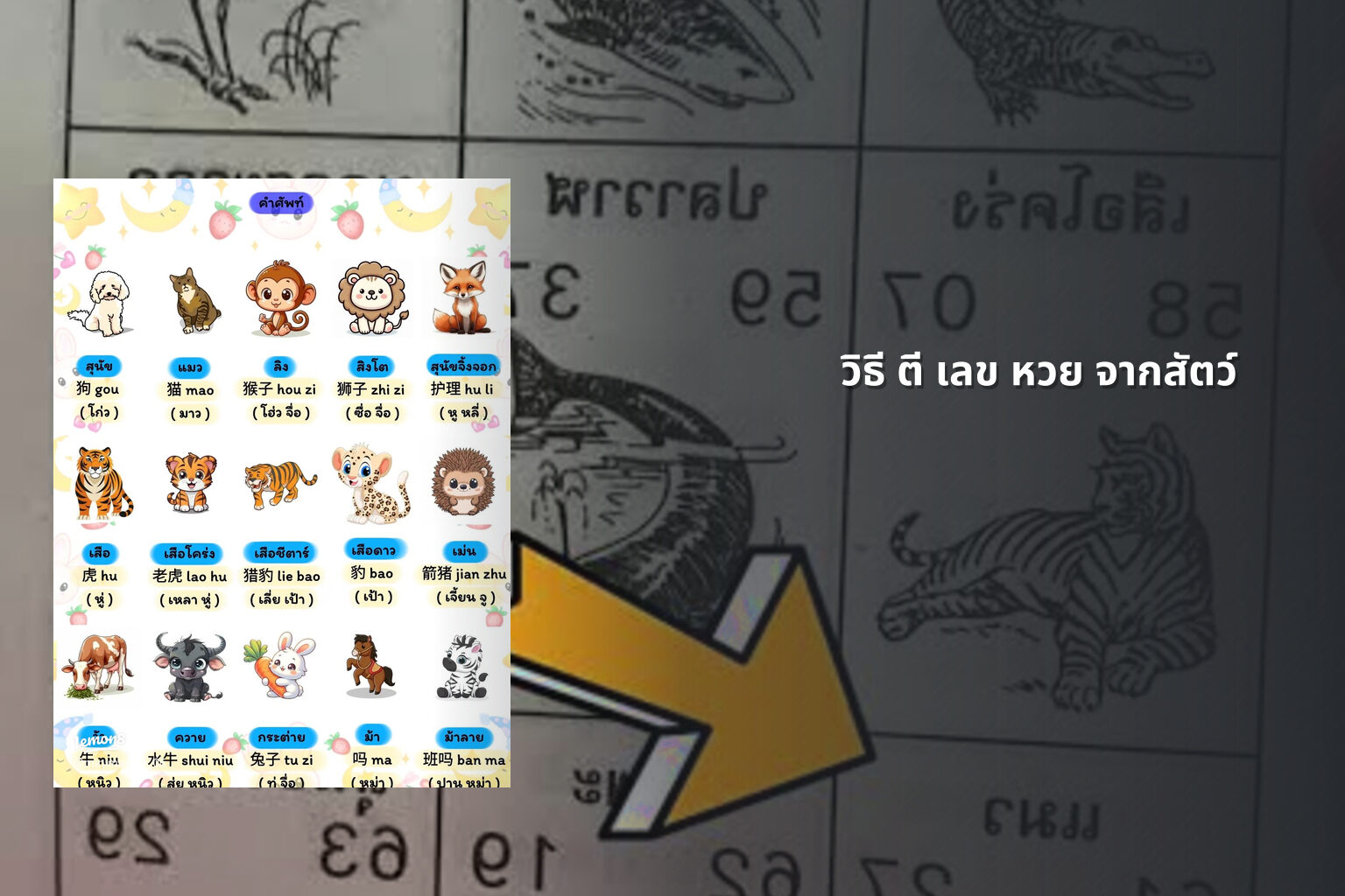 วิธี ตี เลข หวย จากสัตว์ - หวย