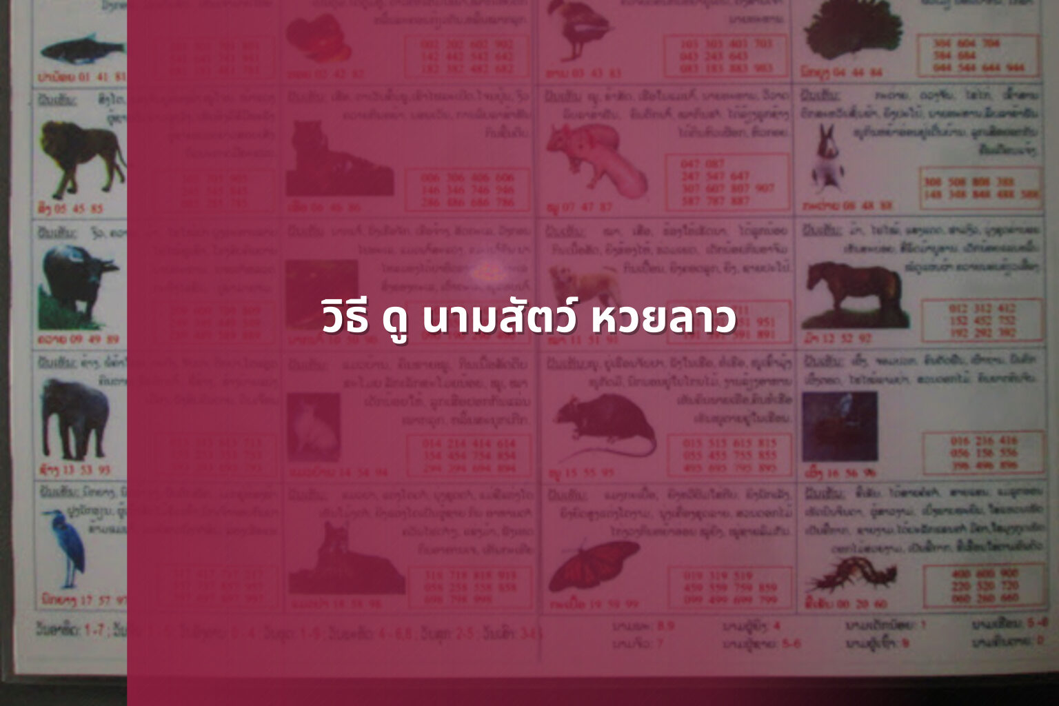 วิธี ดู นามสัตว์ หวยลาว - หวยลาว