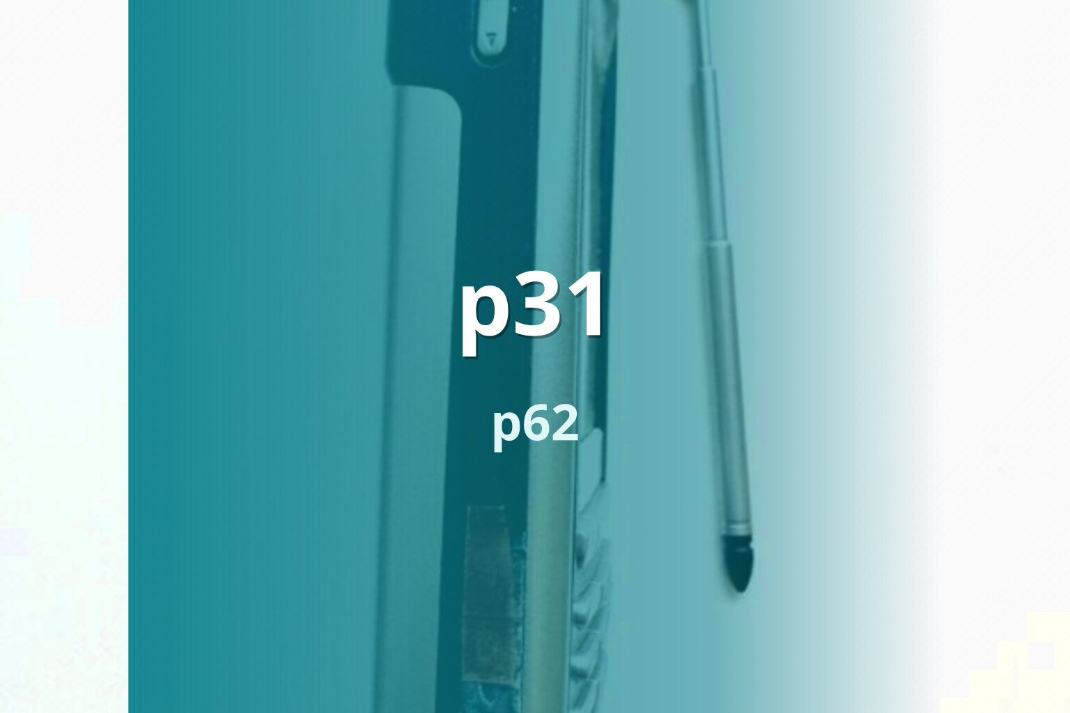 p31 p62