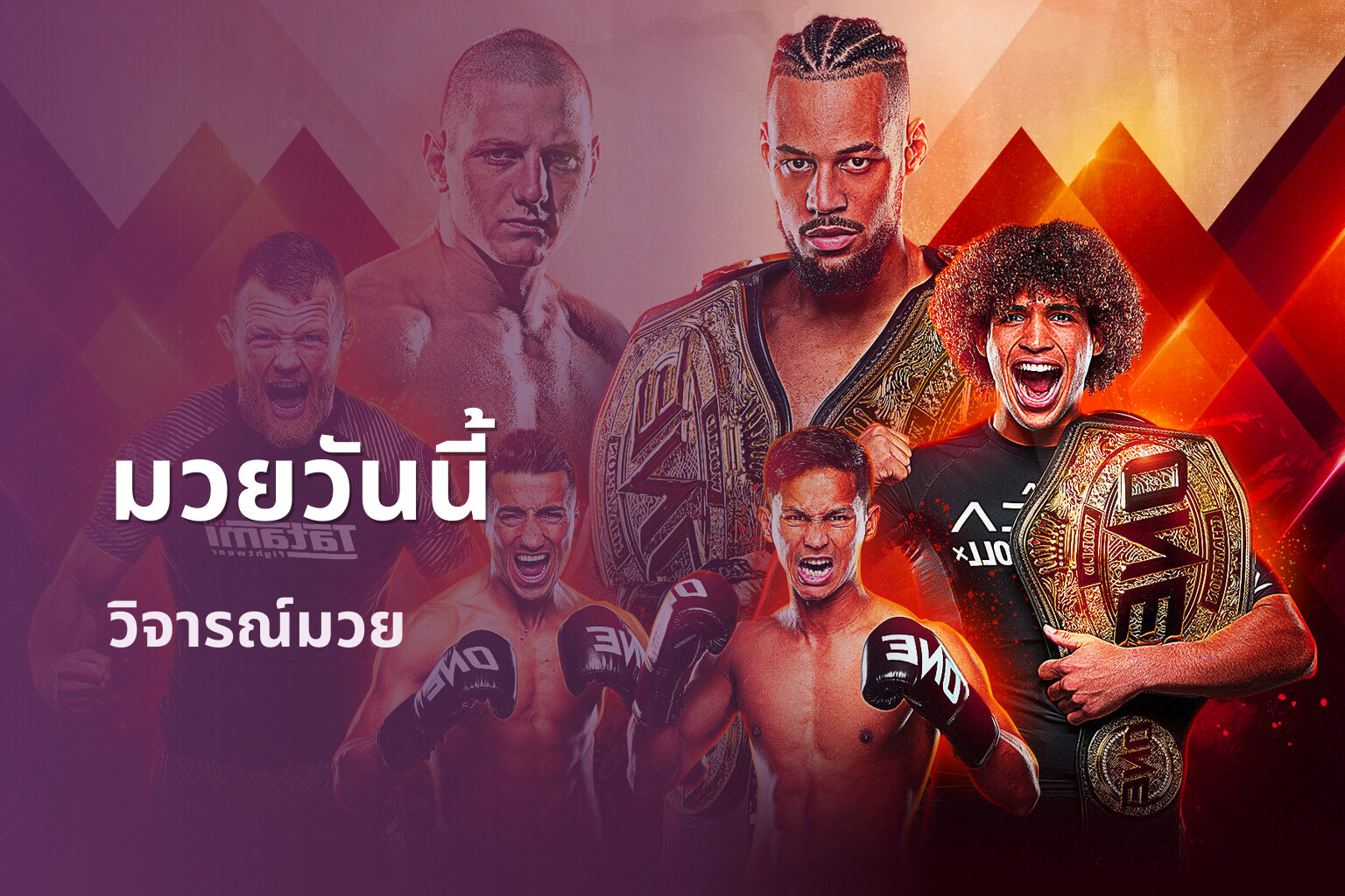 มวยวันนี้ วิจารณ์มวย