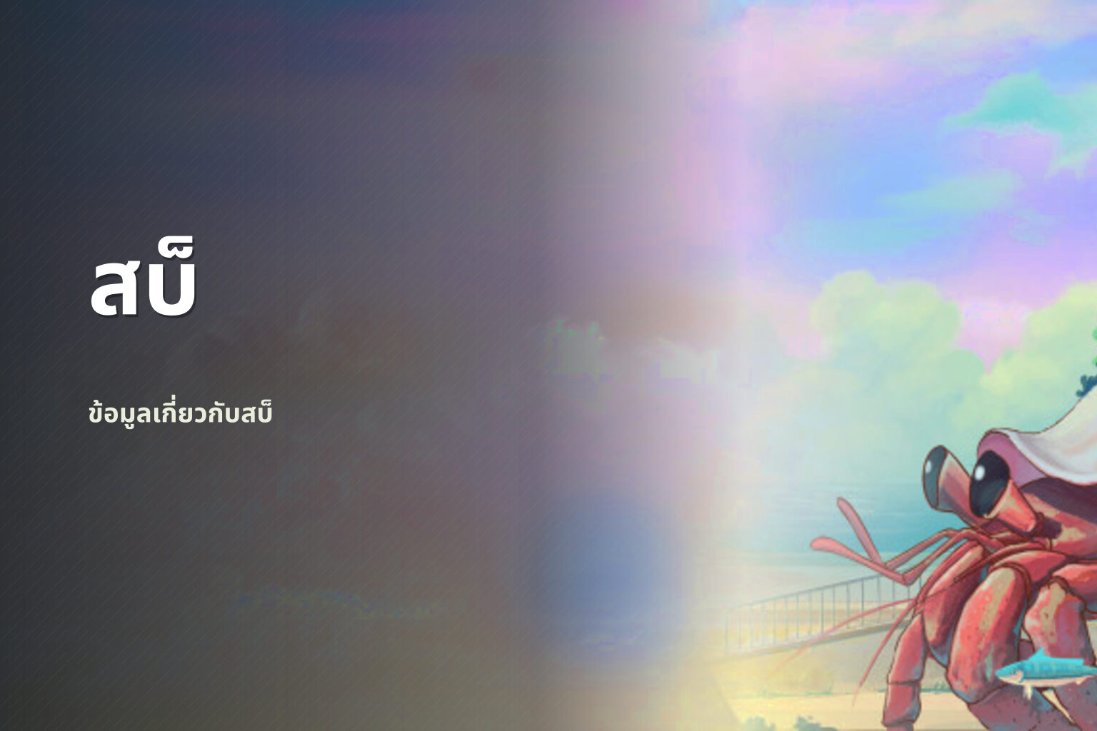 สบ็ ข้อมูลเกี่ยวกับสบ็