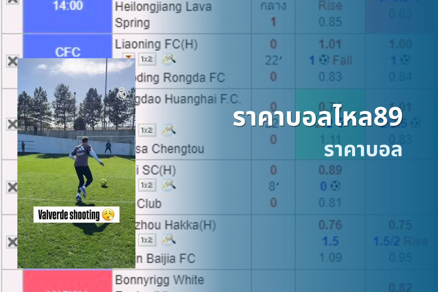 ราคาบอลไหล89 ราคาบอล