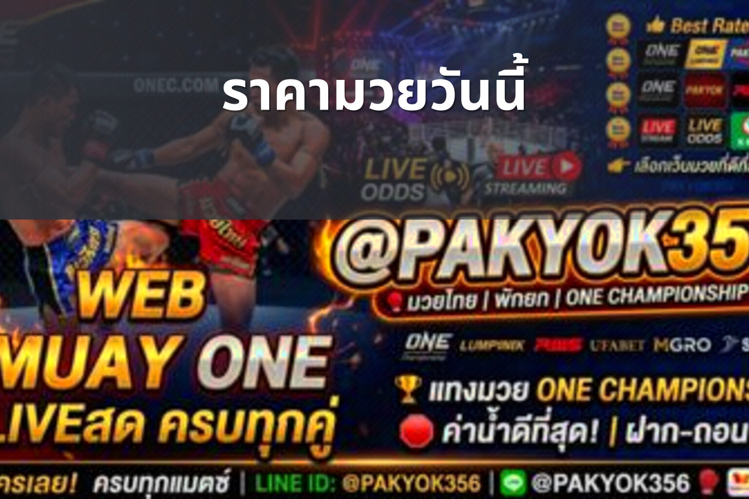 ราคามวยวันนี้ - boxing odds