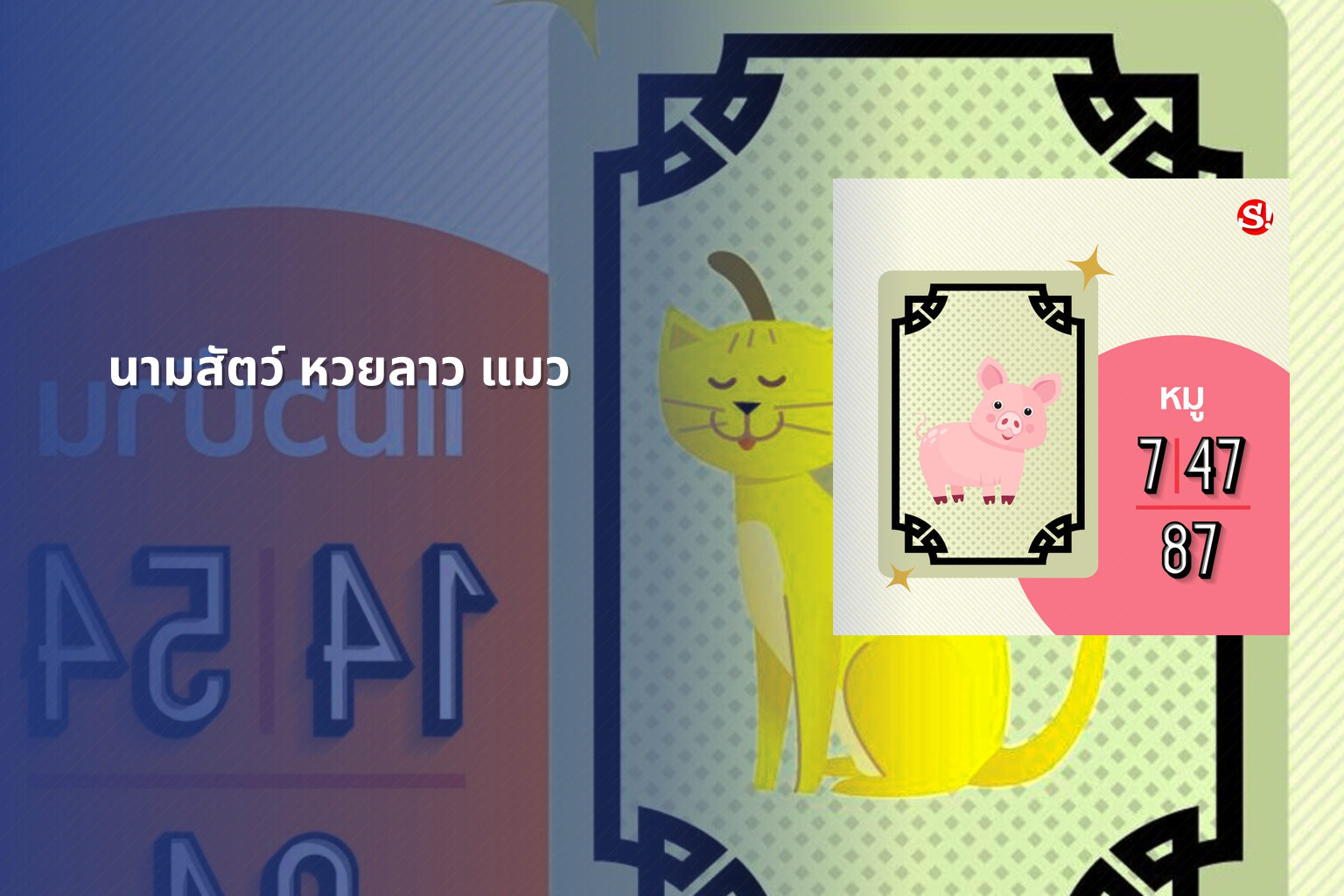 นามสัตว์ หวยลาว แมว - หวยลาว