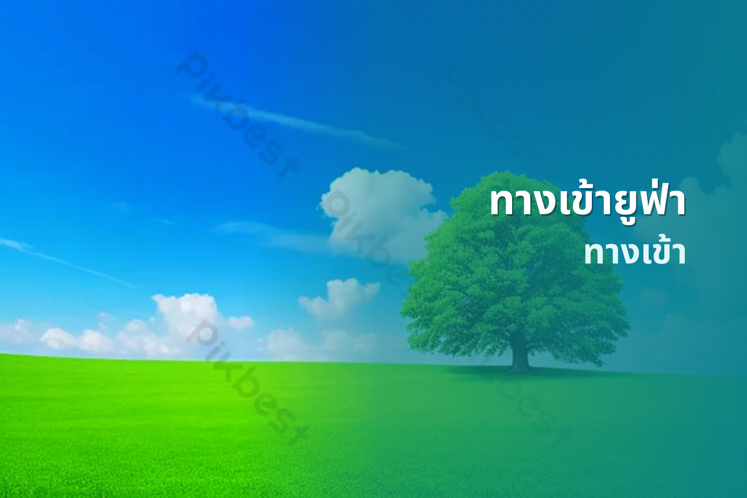 ทางเข้ายูฟ่า ทางเข้า